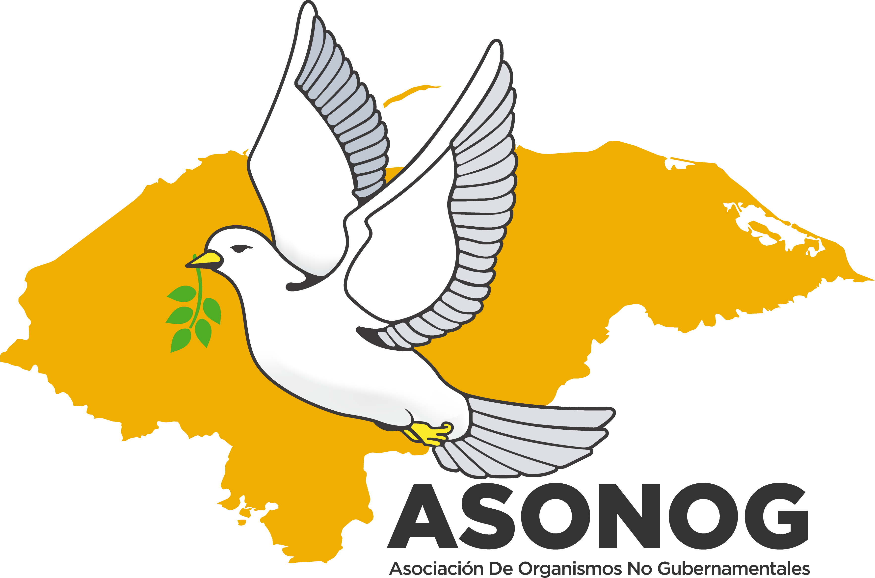 Asociación de Organismos No Gubernamentales de Honduras (ASONOG)